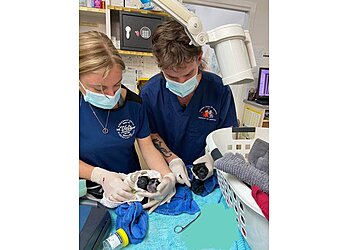 Greenway Drive Veterinary Hospital