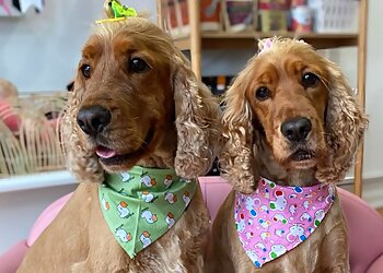 Groom-me by Lisa-Marie