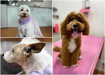 Groom-me by Lisa-Marie