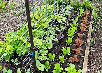 Growing Home Permaculture