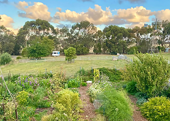 Growing Home Permaculture