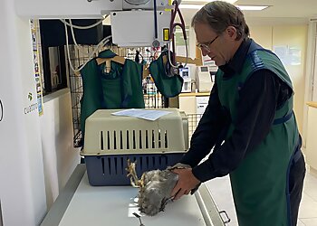 HIGHlands Veterinary Hospital