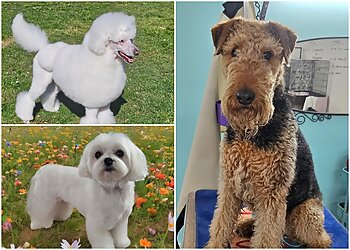 Hair Off The Dog Styling Boutique