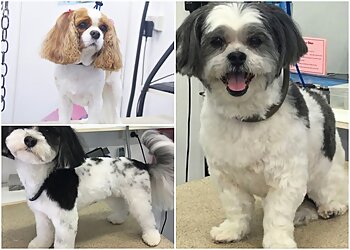 Hairy Tails Dog Grooming Boutique