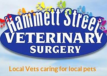 Hammett Street Veterinary Surgery