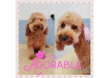 Happy Feet Grooming Parlour