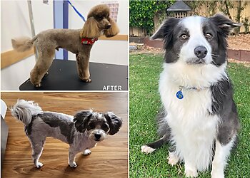 Happy Feet Grooming Parlour