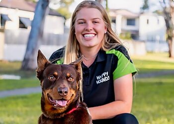 Happy Hounds Dog Walking and Pet Sitting