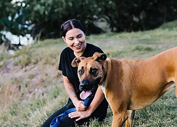 Happy Hounds Dog Walking and Pet Sitting