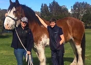 Fur Life Vet Bunbury