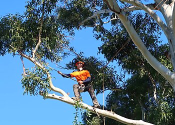 Hastings Tree Care