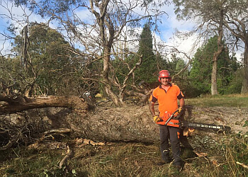 Heartwood Tree Services