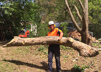 Heartwood Tree Services