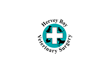 Hervey Bay Vet Surgery