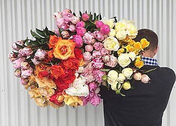 Hill Street Flowers Devonport