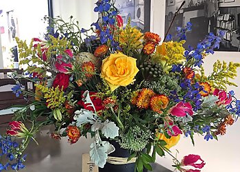 Hill Street Flowers Devonport