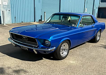 Hillzy's paint & panel