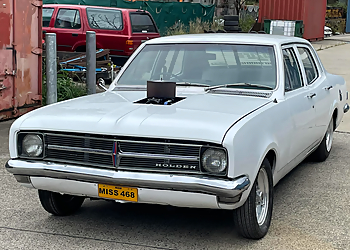 Hillzy's paint & panel