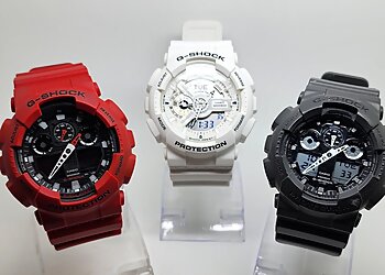 Hippopotamus Pawnbrokers