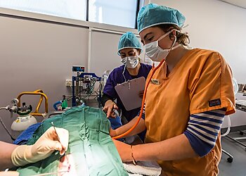 Hobart Community Veterinary Hospital