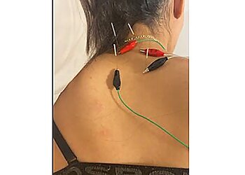 Holistic Minds Holistic Bodies