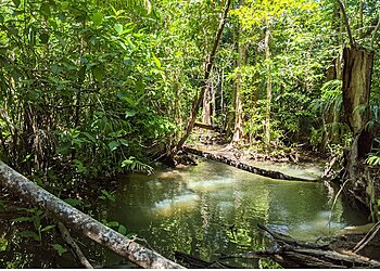 Holmes Jungle Nature Park