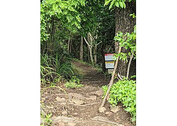 Honeyeater Lookout Trail