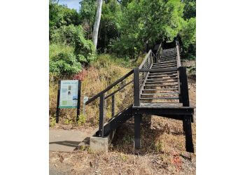 Honeyeater Lookout Trail