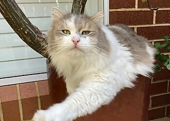 House and Pet Sitters