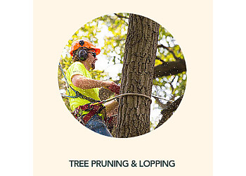 Howletts Tree Service