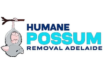 Humane Possum Removal Adelaide 