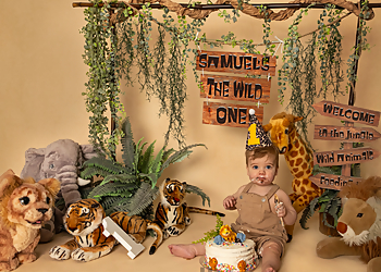 Hummingbird Pictures