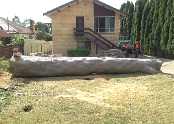 Hunter Valley Tree Guys