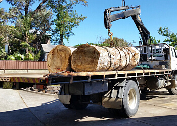 Hunter Valley Tree Guys