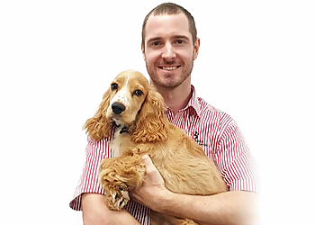 Illawarra Animal Hospital