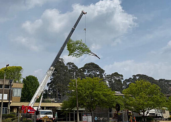 Infinity Tree Services