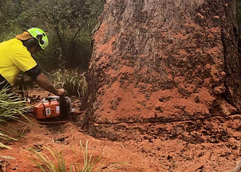 Infinity Tree Services