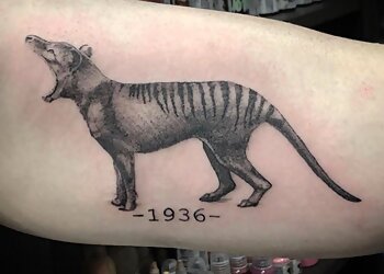 Ink Attack Tattoo Co.