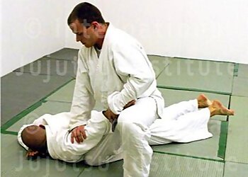 International Jujutsu Institute Pty Ltd.