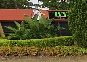 Ivy Italian