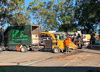 JC Tree Services Gold Coast