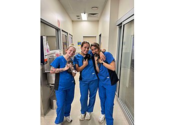 James Street Veterinary Hospital