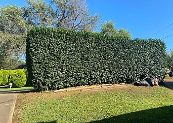 Jason Lawn Mowing Services