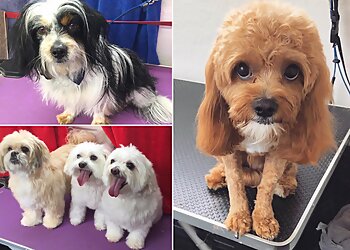 Jim’s Dog Wash Wagga Wagga