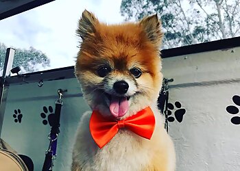 Jim's Dog Wash Bowral