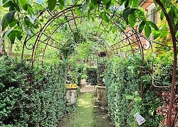 Johnny's Gardening and Mowing