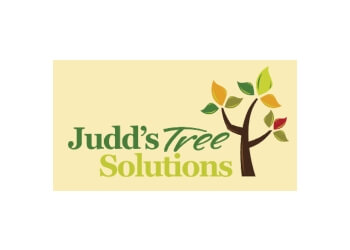 Bendigo Tree Services Judd’s Tree Solutions image 1