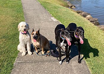Kassie's Dog Walking & Pet Sitting Gold Coast