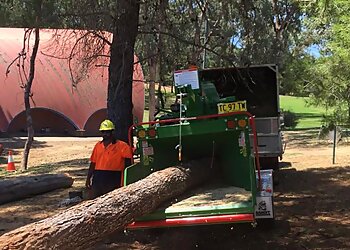 Kendall’s Tree Service