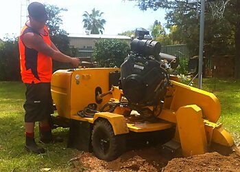 Kendall’s Tree Service